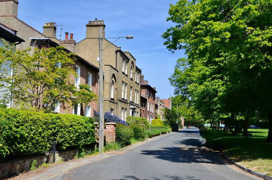 A quiet residential street with a row of traditional brick and stone terraced houses on the left, each with small front gardens filled with green shrubs and flowering plants. A tall, slightly weathered lamppost stands near the curb, casting shadows on the smooth tarmac road. The street is lined with lush, mature trees on both sides, with vibrant green leaves providing shade and creating a canopy effect. In the background, additional buildings are visible along the street, with the clear blue sky overhead indicating a bright, sunny day. The environment suggests a peaceful, suburban neighbourhood suitable for home relocation and furniture transport services. Complete with natural lighting, the scene reflects an ideal setting where house removals, packing, and loading operations by companies like Fulham Man and Van could take place, involving careful handling of belongings within this scenic area.